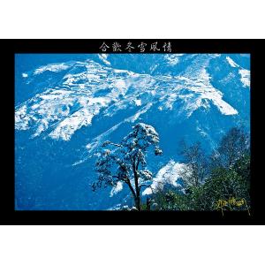 合歡山雪季