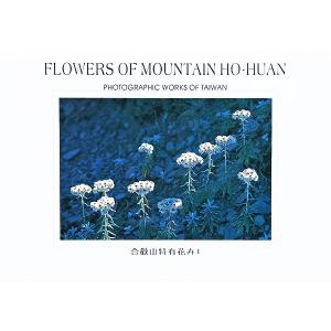 合歡山特有花卉1