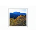 合歡山秋天內頁(3)