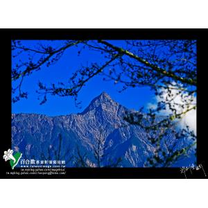 玉山主峰