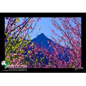 玉山春色