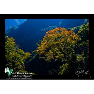 北橫秋色