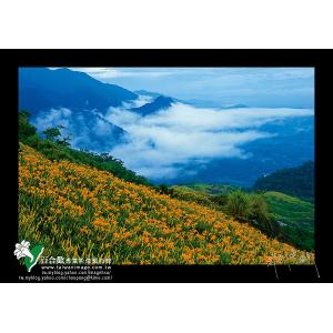 六十石金針山