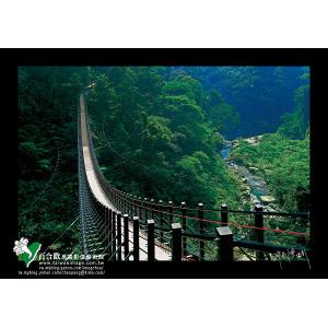 南投梯子吊橋
