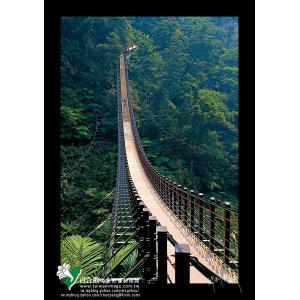 南投梯子吊橋