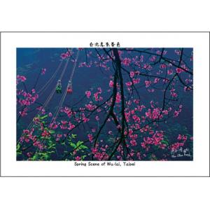 台北烏來春色