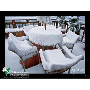 清境雪季
