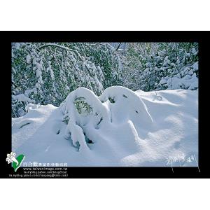 清境雪季