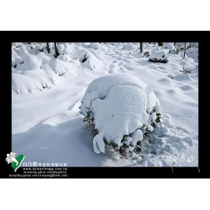 清境雪季