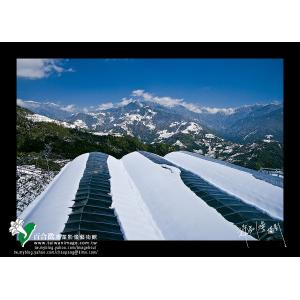 清境雪季