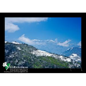 清境雪季