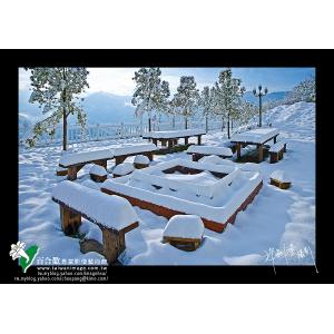 清境雪景