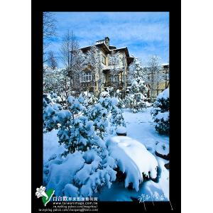 清靜冬雪