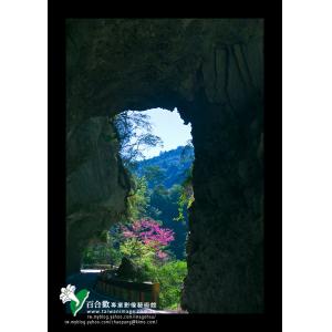 中橫春色