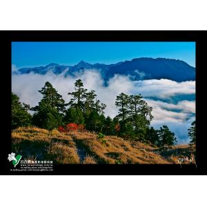 合歡山秋色