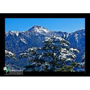 合歡山雪景