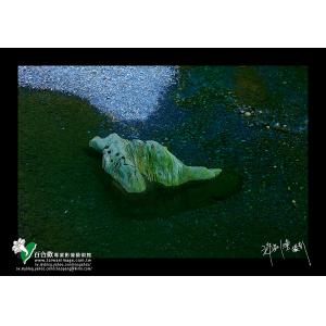 太魯閣砂卡礑溪