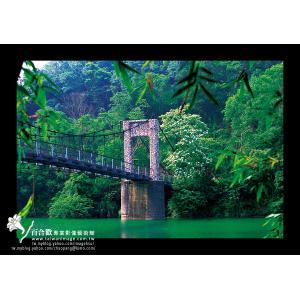 寶山水庫吊橋