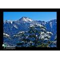 合歡山雪景