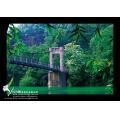 寶山水庫吊橋