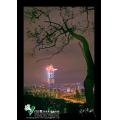 2006台北101煙火