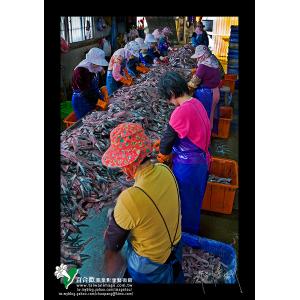 虱目魚加工產業