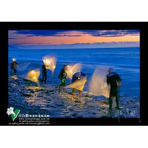 南迴金崙海岸撈魚苗