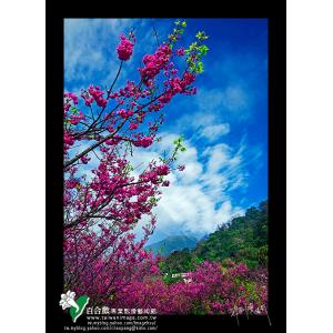 陽明山