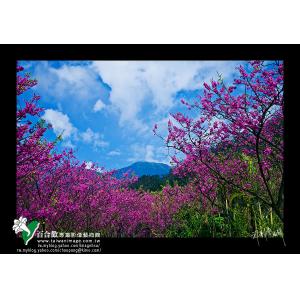 陽明山
