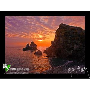 蘇花粉鳥林海岸