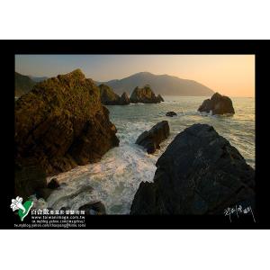 粉鳥林海岸-