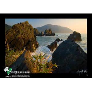 粉鳥林海岸-