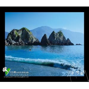粉鳥林海岸-