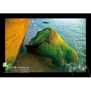 燭台嶼海岸水石