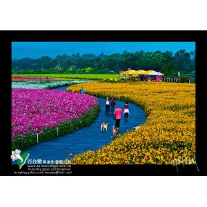 新社花海