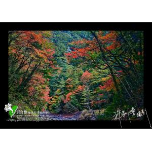 中橫畢祿溪秋色