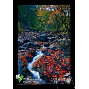畢祿溪秋色