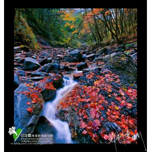 畢祿溪秋色