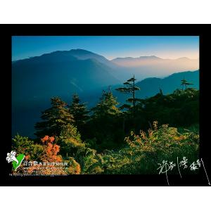 福壽山秋色