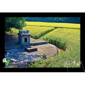 田野中的土地公