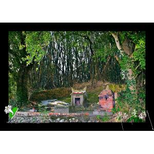 田野中的土地公