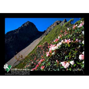 玉山風情