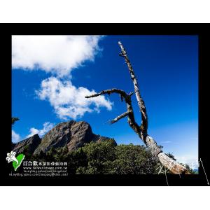 玉山風情
