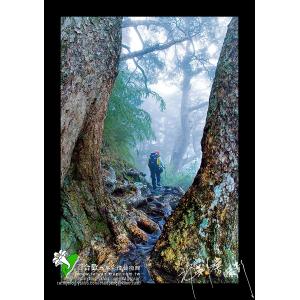 玉山登山客