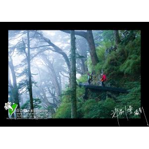 玉山登山客-