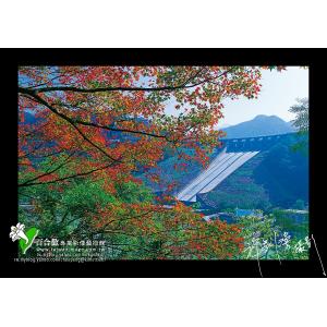 石門水庫秋色