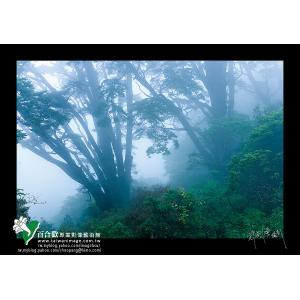 合歡山