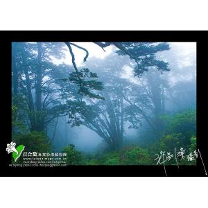 合歡山