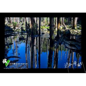 杉林溪忘憂林