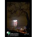 台北101夜景